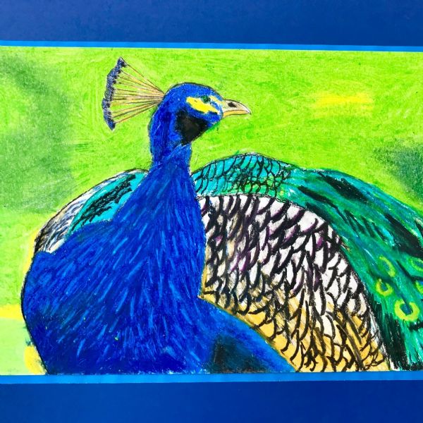 Summer Fields Art Exhibition 2018 - 24