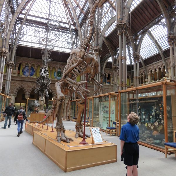Year 6 Trip to Oxford's Natural History Museum