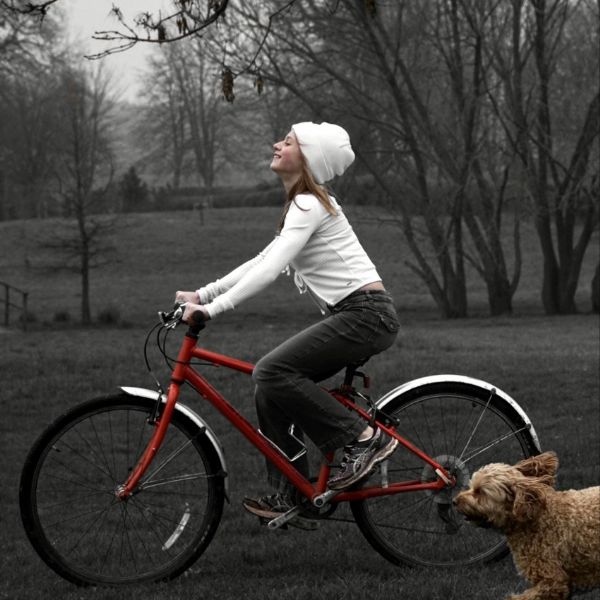 Photography Competition: Edition 5 'Red'