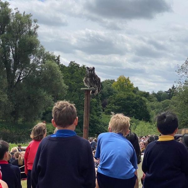 Expedition Day 2022 Year6 - 2